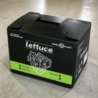 Boîte à laitue en plastique ondulé PP pour produits frais, conteneur d'emballage creux empilable, caisse d'expédition légère, vente en gros