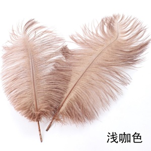 Đầy Màu sắc 25-30cm Tay nhuộm nhuộm đà điểu lông đáng yêu trang trí đám cưới - Product Image 3