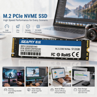 OEM ODM Personnalisé M.2 2280 NVMe SSD Interne pour Ordinateur Portable et Tablette 512 Go Petite Taille Approvisionnement Direct Usine
