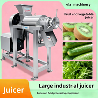 Presse-agrumes électrique en acier inoxydable de haute qualité, extracteur de jus à vis grande capacité, presse-agrumes lent commercial