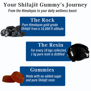 Gummies de Shilajit Pur de l'Himalaya Marque Blanche avec Extrait de Zingiber Officinale et Extrait de Curculigo Orchioides pour le Soutien Immunitaire - Product Image 3