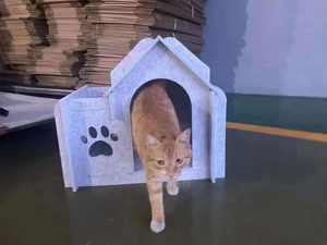 Feutre détachable chat rabat tente <span class=keywords><strong>isolation</strong></span> phonique Auditorium diffuseur 3d décoratif fermé feutre animal de compagnie - Product Image 2