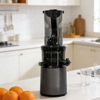 Nieuwe populaire koudgeperste sapmachine, draagbaar, multifunctioneel, voor verse fruit- en groentesappen