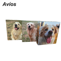 Organizador de Documentos Ecológico de Cartón Duro con Anillas, Carpeta Archivadora de 2 Anillas, Formato A4, 3 Pulgadas, Material de Oficina