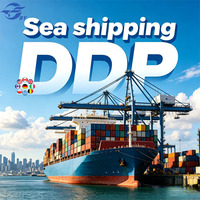 Transitaire maritime, 20 ans d'expérience, Chine vers les États-Unis, DDP, transport routier local aux États-Unis, Amazon FBA, FCL, LCL