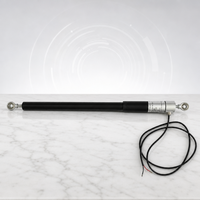 Mini-tige de poussée électrique tubulaire sur mesure 50N, actionneur linéaire à moteur CC haute vitesse 50 mm/s, faible bruit, en alliage d'aluminium