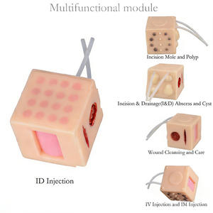 Maniquí Médico Multifuncional Cuadrado 5 en 1 DARHMMY - Incluye Pruebas de Piel, Excisión de Lunares y Tumores, y Simulación de Heridas - Product Image 1