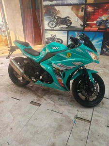 Haleixiaogou 250cc Ninja d'occasion avec moteur puissant et vitesse de 80 km/h, fabriqué dans le Guangdong, haute puissance - Product Image 5
