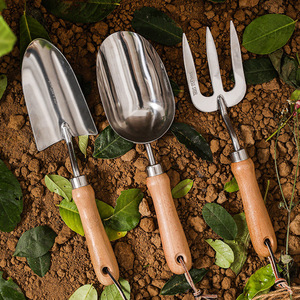 Ensemble d'outils <span class=keywords><strong>de</strong></span> jardinage <span class=keywords><strong>en</strong></span> acier inoxydable, 3 pièces, outils à main avec manches <span class=keywords><strong>en</strong></span> <span class=keywords><strong>bois</strong></span> naturel, truelle, fourche, pelle à terre pour la plantation et le creusement - Product Image 1