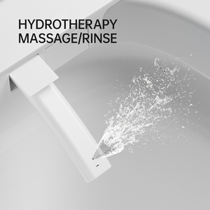 Inodoro Inteligente Moderno con Asiento Térmico Negro, Bidé Inteligente con Función Completa, Limpieza Íntima para Mujeres, Incluye Inodoro con Varios Colores - Product Image 2