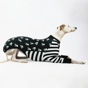 Sudadera de manga larga para perro grande, <span class=keywords><strong>ropa</strong></span> negra para halloween, <span class=keywords><strong>Galgo</strong></span> Italiano - Product Image 3