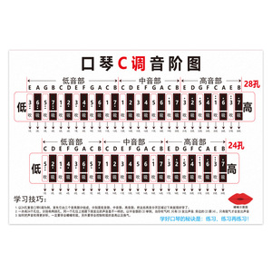 C2428 - Product Image 1