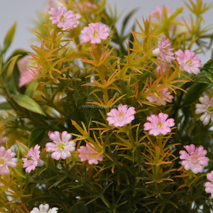 Petit Bonsaï Artificiel, Herbe Artificielle, Romarin, Ruscus, Gypsophile <span class=keywords><strong>en</strong></span> PE, Plantes <span class=keywords><strong>en</strong></span> <span class=keywords><strong>Pot</strong></span> <span class=keywords><strong>Rose</strong></span> Écologiques 22cm, Centre <span class=keywords><strong>de</strong></span> Table pour la Maison - Product Image 2