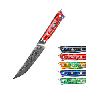 Damascus thép 5-inch bít tết dao với nhựa xử lý nhà bếp không răng cưa kim loại dao - Product Image 1