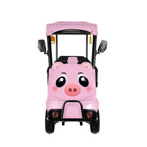Voiture de tourisme écologique 800W pour quatre passagers, type carrosserie ouverte, vitesse 30 km/h, autonomie 70-90 km, certifiée CE, 400 kg+, respectueuse de l'environnement - Product Image 6