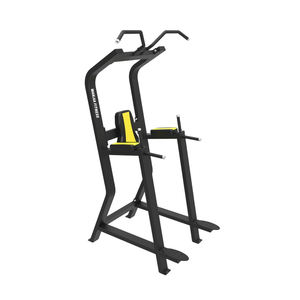 Offre Spéciale Commercial Musculation Gym Fitness Equipment Multi-Fonction Vertical <span class=keywords><strong>Kness</strong></span> Up/Dip Station pour un exercice efficace - Product Image 1