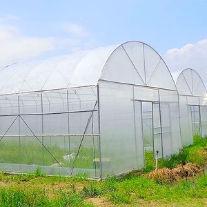 Hoge Sterkte Commerciële Agrarische Poly Boog Groene Huis Enkelvoudige Overspanning Landbouw Kas Te Koop - Product Image 4