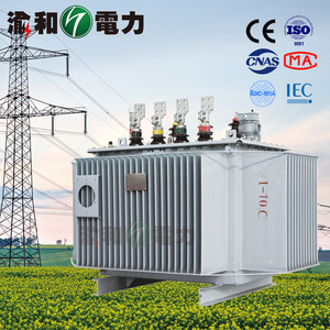 Transformador Trifásico Sumergido en Aceite de 160 KVA 800 KVA, Sellado a Prueba de Agua, Reductor de Voltaje de 13800V a 480V - Product Image 6