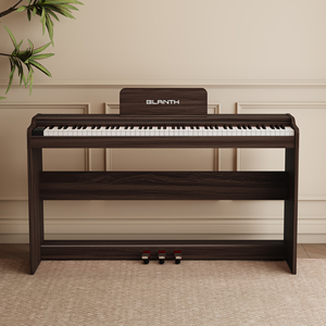 BLANTH Piano Keyboard Digital Piano Professional Keyboard Instruments Piano for Sale - Product Image 1