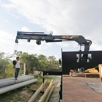 Grue mobile de levage portable, grue hydraulique à flèche télescopique/articulée de 12 m, manipulateur avec télécommande et tuyau de forage