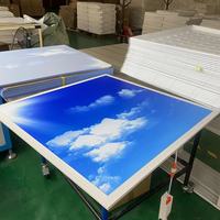2024 lucarne artificielle Led panneau lumineux affichage intégré plafonnier ciel bleu et nuages blancs Led lumière à écran plat