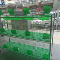 Cage d'élevage pour lapins en fil métallique durable à 3 niveaux et 12 portes pour ferme