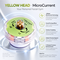 Appareil de soin de la peau à impulsions magnétiques, machine de traitement facial professionnelle, capsule d'essence d'herbes jetable, anti-âge, plastique, UE/Royaume-Uni
