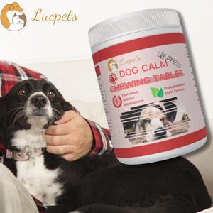 أقراص قابلة للمضغ لتهدئة مزاج الكلاب، مكملات غذائية لدعم المناعة للحيوانات الأليفة، مكملات صحية متميزة للكلاب - Product Image 5