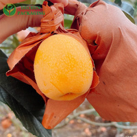 Emballage de protection pour fruits Ph Pear Protection, papier anti-ultraviolet, sac à mangues