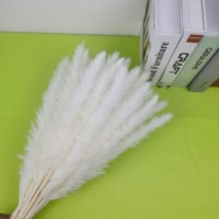 30 Tiges Blanc Séché Pampas Herbe Boho Vintage Mariage & Noël Décor Home Decor Cadeau Présent