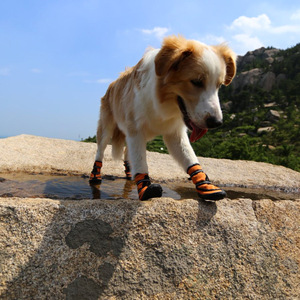Chaussures <span class=keywords><strong>pour</strong></span> <span class=keywords><strong>chien</strong></span> ONESTEP confortables, classiques, imprimées, douces, respirantes, anti-chute, avec double sangle réfléchissante, semelle hydrofuge en polyester - Product Image 4