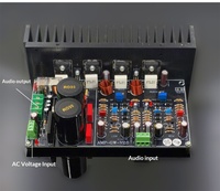 Kit de carte amplificateur de puissance 2 canaux à circuit haute tension HIFI Famous Machine, carte amplificateur d'entrée/sortie FET