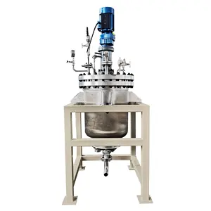 WHGCM 200L Stirred Tank Reactor Bio-pharmaceutical Reactor Price Stainless Steel Reaction Kettle with filtration system