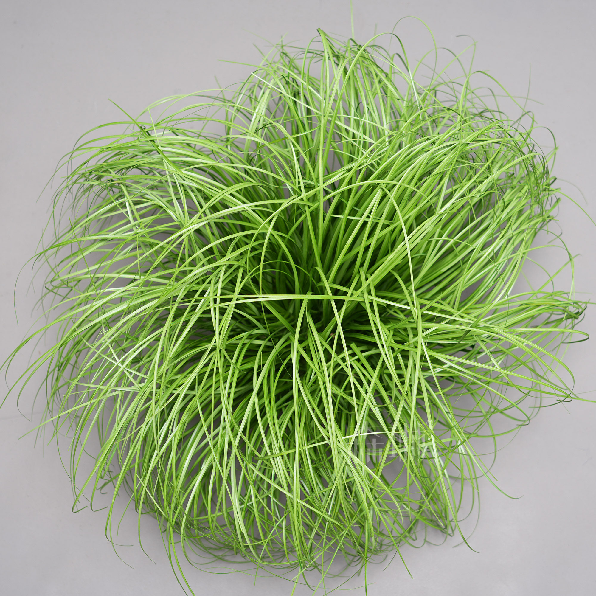 Grosse boule d'herbe - 30 cm de haut - 55 cm de large - verte - pré-assemblée