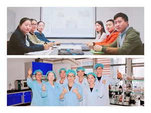 Yu Xing Tiêu Chuẩn GMP Cao Tự Nhiên Houttuynia Cordata/Natri Khô Houttuyfonate Chiết Xuất Bột - Product Image 5