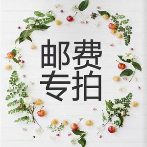 Sesame Baby Anime Cartoon Backpack Oxford Cloth Breathable Waterproof Anti Theft Student Bag Yellow Zm23 Chinese New Year Gift - Product Image 2