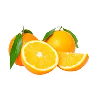 الجملة عالية الجودة البرتقال الطازج/الفاكهة الطازجة