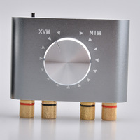 Kompakt BT 5.0 Dijital Ses Amplifikatörü Mini Hi-Fi Stereo Güç Amplifikatörü Masaüstü Ev Araba Hoparlör Sistemi için