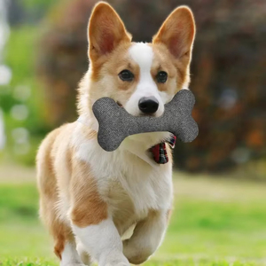 Sáng tạo hình xương đồ chơi sang trọng-mềm kêu cót két nhai Gậy cho mọc răng con chó con & chơi tương tác - Product Image 2