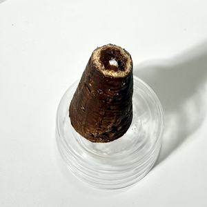 Bulk Frozen Chocolate Ice Cream Popsicles with Chocolate Flavored Snack Ice <b>Cone</b> <b>Sweet</b> Dessert <b>Cone</b> Ice Cream - Product Image 2