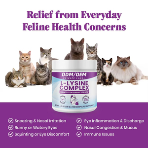 Poudre de <span class=keywords><strong>L</strong></span>-<span class=keywords><strong>Lysine</strong></span> OEM/ODM pour chats et chatons – Soutien immunitaire et santé respiratoire - Product Image 6