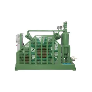 מדחס אוויר 1hp באתר 400CFM 450 CFM מדחס אוויר בלחץ גבוה C2H3Cl 200L