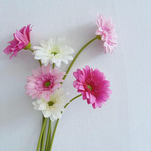 Flor de Gerbera Artificial de Látex de Tallo Único, Venta al por Mayor, Blanca y Amarilla, para Decoración de Navidad, Graduación, Día de la Madre y Bodas - Product Image 5