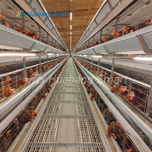 Layer Chicken Cages Rust Proof Durable Hot Dip <strong>Galvanized</strong> Steel for Poultry Farm - Product Image 4