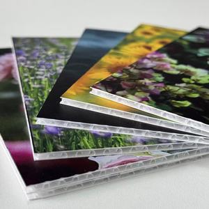 <span class=keywords><strong>Plaque</strong></span> alvéolée en PP étanche de 2-12 mm, feuille ondulée écologique, résistante aux UV, durable, recyclable, planche à découper personnalisée - Product Image 5