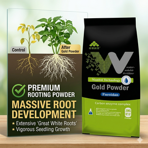 Promoteur de croissance racinaire, source minérale, fulvate de potassium, poudre dorée, biostimulant - Product Image 4