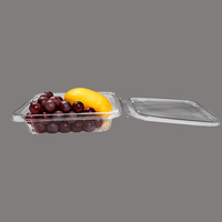 Trendy, transparante, wegwerpverpakkingen voor catering, bakkerijen, fruitwinkels, dagelijkse maaltijdvoorbereiding en opslag
