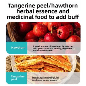 <span class=keywords><strong>Cibo</strong></span> per Gatti all'Ingrosso per Tutte le Fasi, 10kg, Alimento Base Completo Estruso per Gestione Gastrointestinale Leggera e Funzionale, Produzione di Fabbrica - Product Image 4