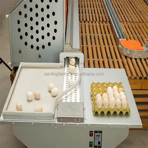 Máquina automática de recolección de huevos de capa reproductora caja automática nido de huevos nido de pollo