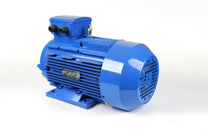 มอเตอร์ไฟฟ้ากระแสสลับสามเฟส YE3 380V 22kw 30HP สำหรับขาย YE3 มอเตอร์ YE3 มอเตอร์เหนี่ยวนำ YE3 22kw มอเตอร์สามเฟส 30hp มอเตอร์ AC - Product Image 4